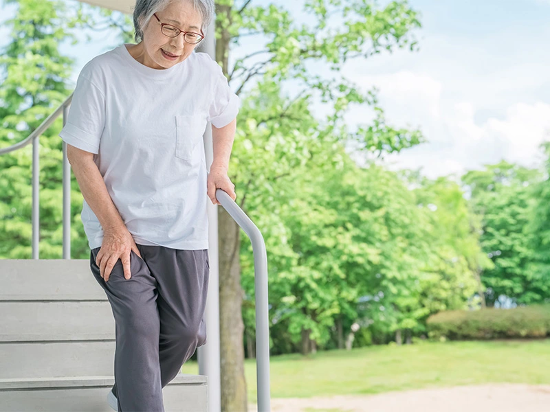 要介護につながる病気と症状