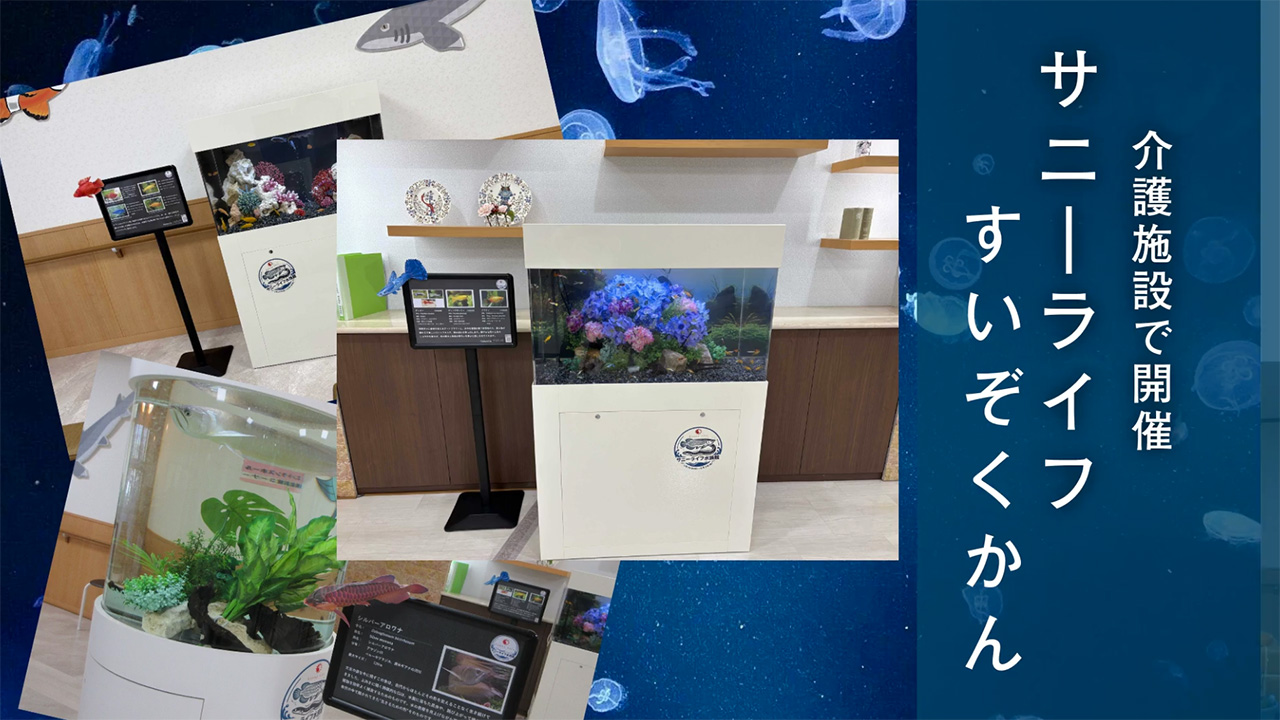 【サニーライフ板橋徳丸】移動水族館