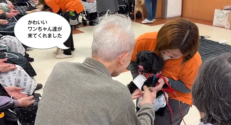 サニーライフ稲毛でアニマルセラピーのイベントを開催しました