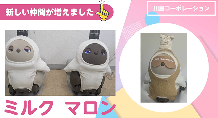 サニーライフ芝浦では家族型ロボット「LOVOT（らぼっと）」を導入いたしました